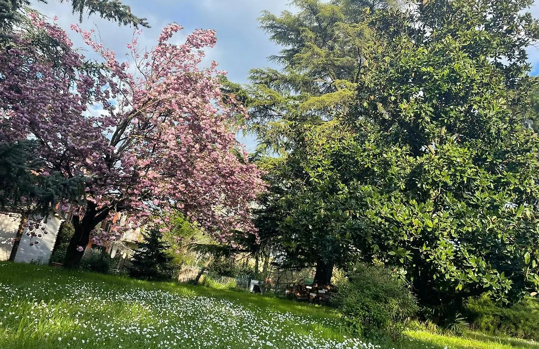 Villa Giacinti-1